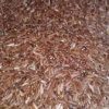 JUAL BERAS MERAH ORGANIK TERBAIK DI WONOGIRI