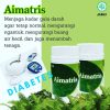 JUAL OBAT HERBAL UNTUK PENYAKIT DIABETES TERMANJUR DI JOGJA
