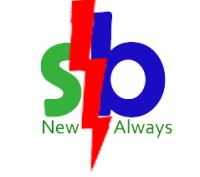 Logo SB Flash Health