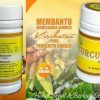 JUAL HERBAL KANKERS,KISTA,MIOM CURCUMED NASA TERMURAH DI INDONESIA - Image 2