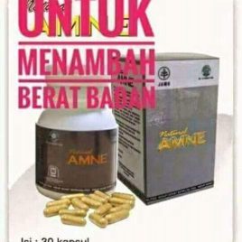 OBAT PENGGEMUK BADAN ASAM AMINO EVOLUTION (AMNE) TERBik