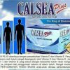 JUAL CALSEA PLUS TERMURAH JOGJA - Image 2