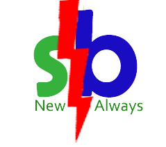 Logo SB Flash Health